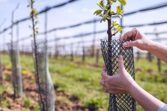 How Ava is pushing its Technology for Good value to the next level